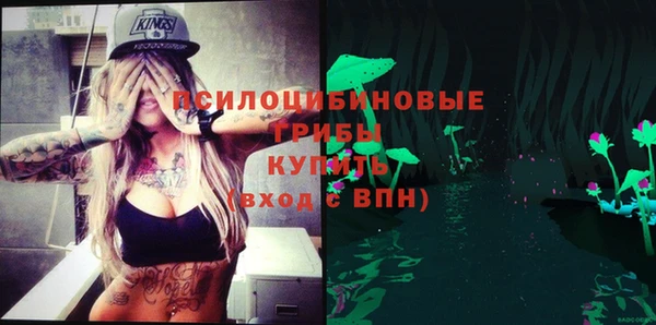гидра Абдулино