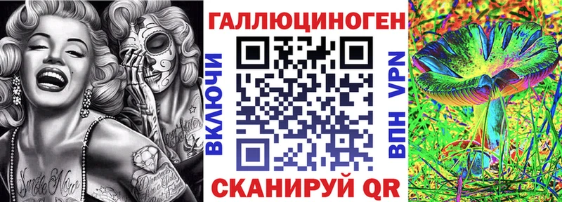 как найти закладки  Нолинск  Галлюциногенные грибы Cubensis 